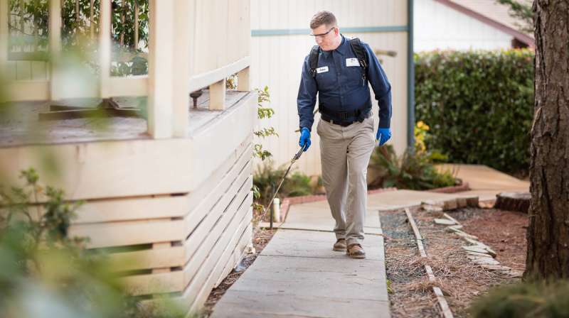 Hotel and Hospitality Pest Control